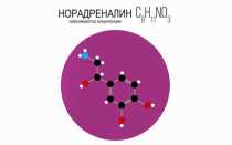Адреналин и норадреналин: особенности гормонов, отличия, основные функции