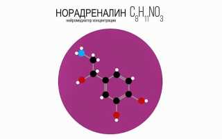 Адреналин и норадреналин: особенности гормонов, отличия, основные функции