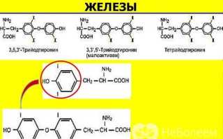 Свободный трийодтиронин: роль в женском организме, норма, возможные причины отклонений